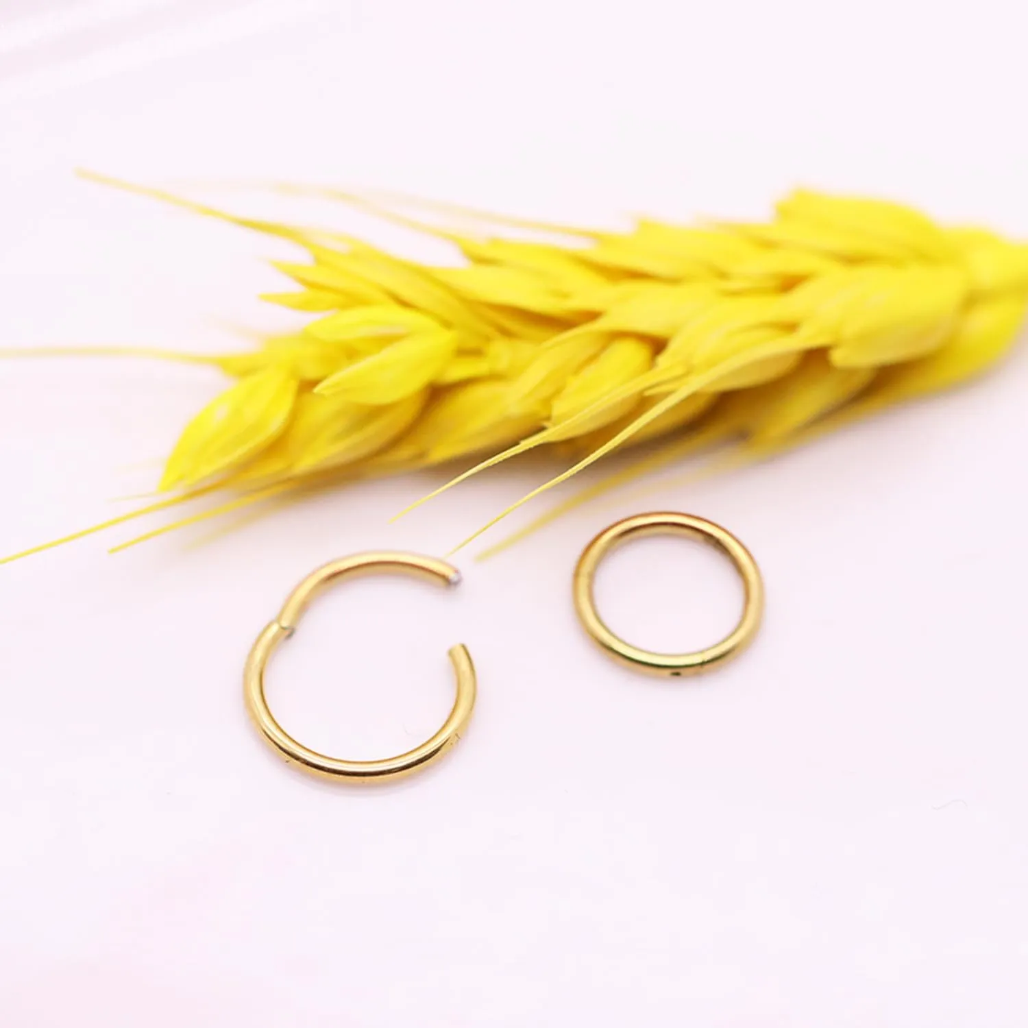 14K Gold Filled Septum Rings Hoop 16G 8mm/10mm 316L Segment Nose Rings for Men, Cartilage Clicker Hoop Earrings for Rook, Daith, Tragus, Hypoallergenic.