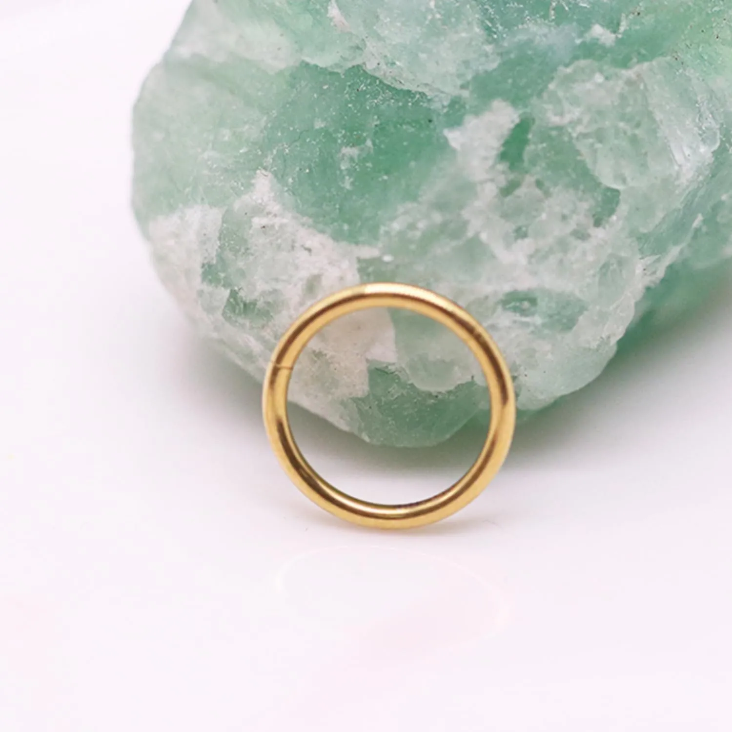 14K Gold Filled Septum Rings Hoop 16G 8mm/10mm 316L Segment Nose Rings for Men, Cartilage Clicker Hoop Earrings for Rook, Daith, Tragus, Hypoallergenic.